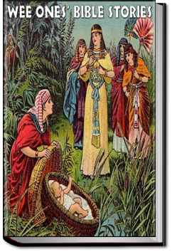 Wee Ones' Bible Stories | 